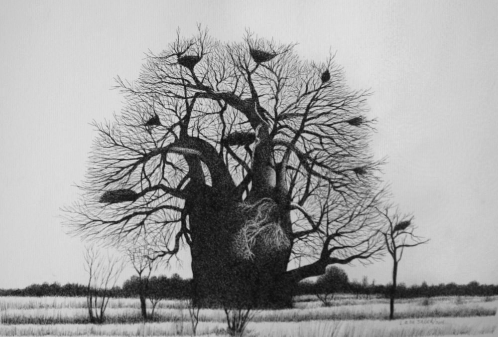 Louis de Jager - Baobab Tree